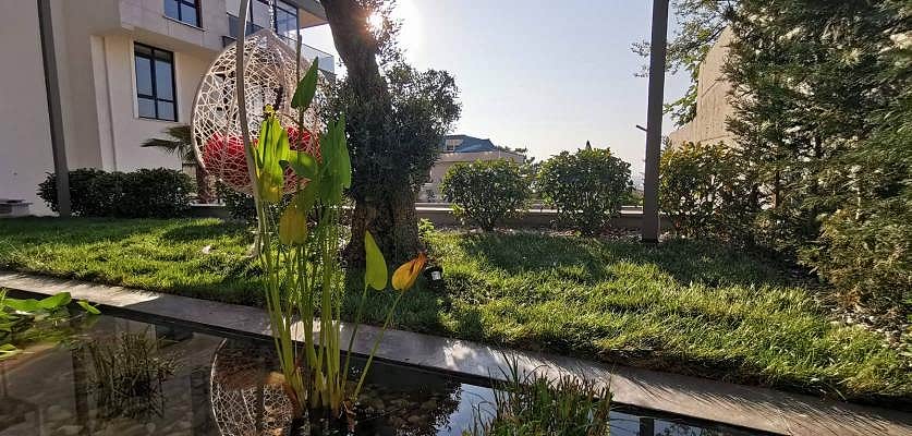 PEYZAJ MİMARLIĞI NEDİR?