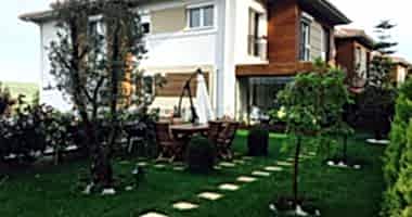 Dekar Asmalı Bahçe