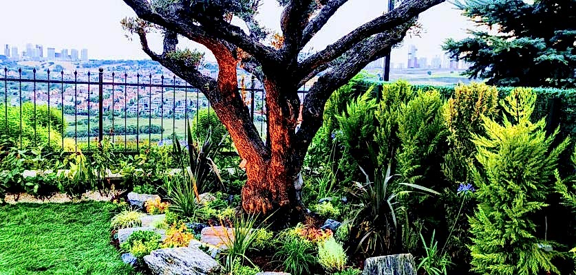 Bahçe ve Ziraat Ürünleri