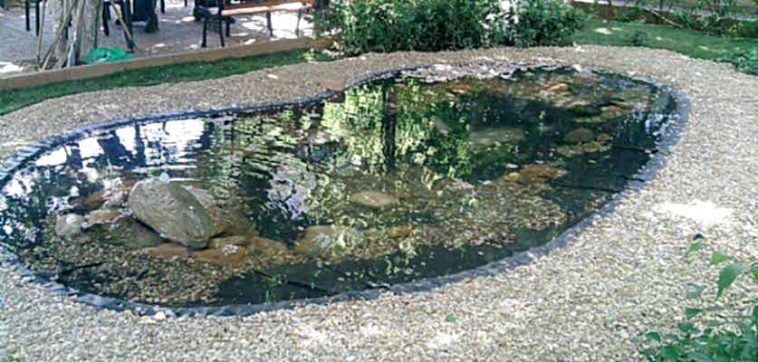 Biyolojik Göller ve Havuzlar