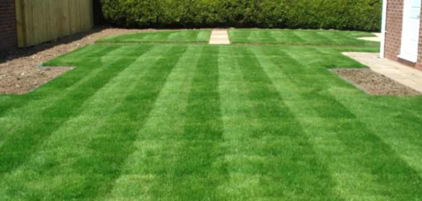 Hazır Rulo Çim Uygulama ve Bakım