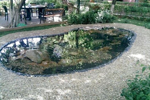 Biyolojik Göller ve Havuzlar